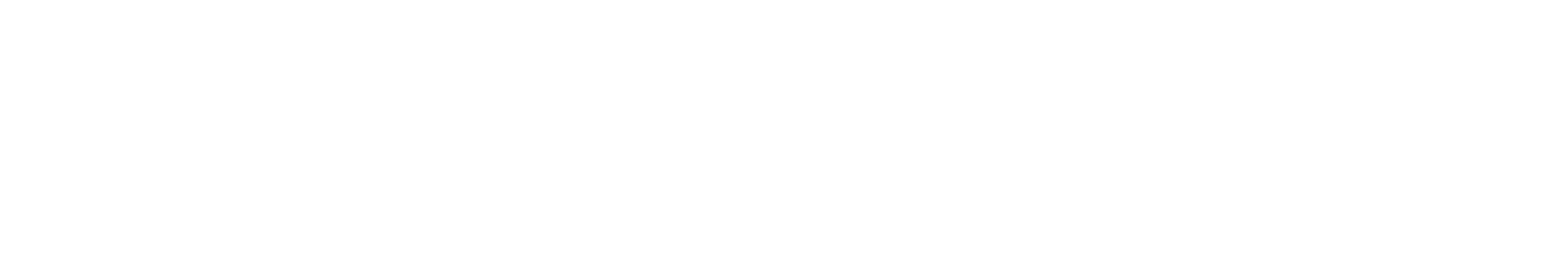 Electronin